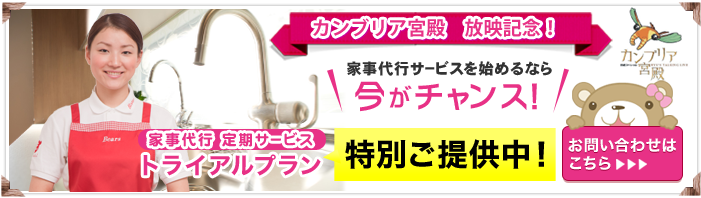 カンブリア宮殿放映記念トライアルプラン
