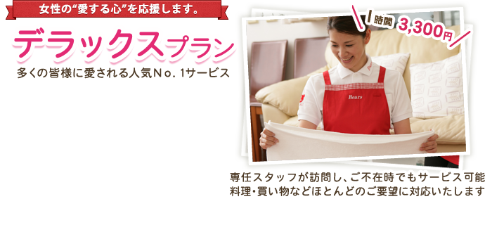 デラックスプラン