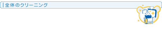 全体のクリーニング