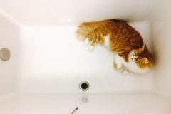 お風呂掃除の床の汚れにクエン酸が良いって本当？
