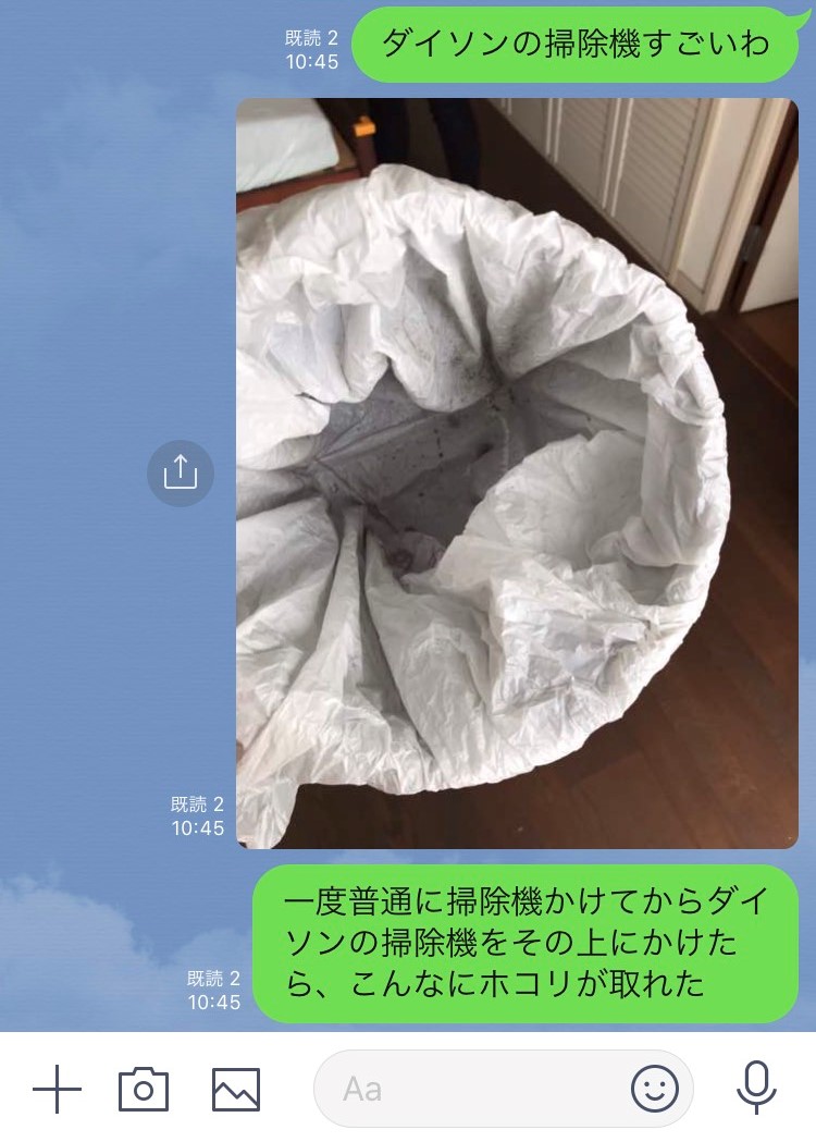 ダイソン掃除機から取れたホコリ