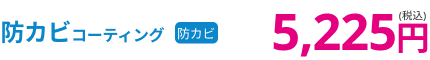 防カビコーティング