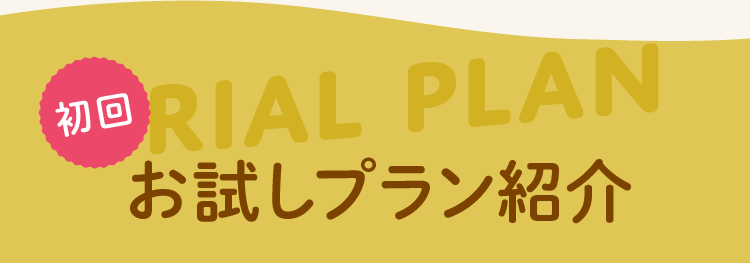 初回　お試しプラン紹介