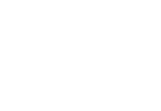 Bears Concept