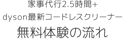 家事代行1名2.5時間＋dyson最新コードレスクリーナー無料体験の流れ