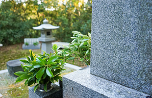 お墓清掃・お墓参り代行サービス