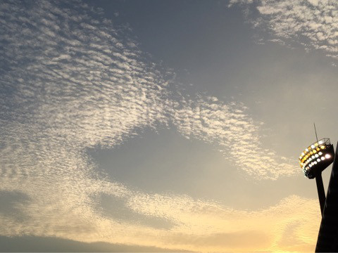 {E8289B53-3C7E-490E-9DDB-D181C671625B}